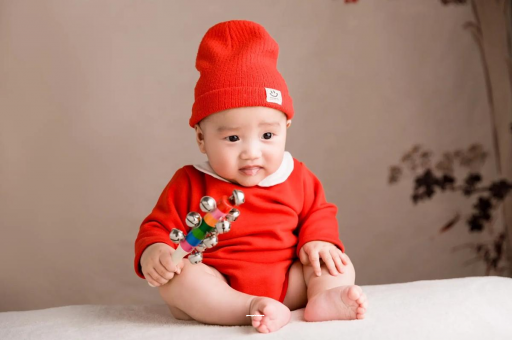 梅河口6个月宝宝辅食做法 梅河口6个月宝宝辅食做法